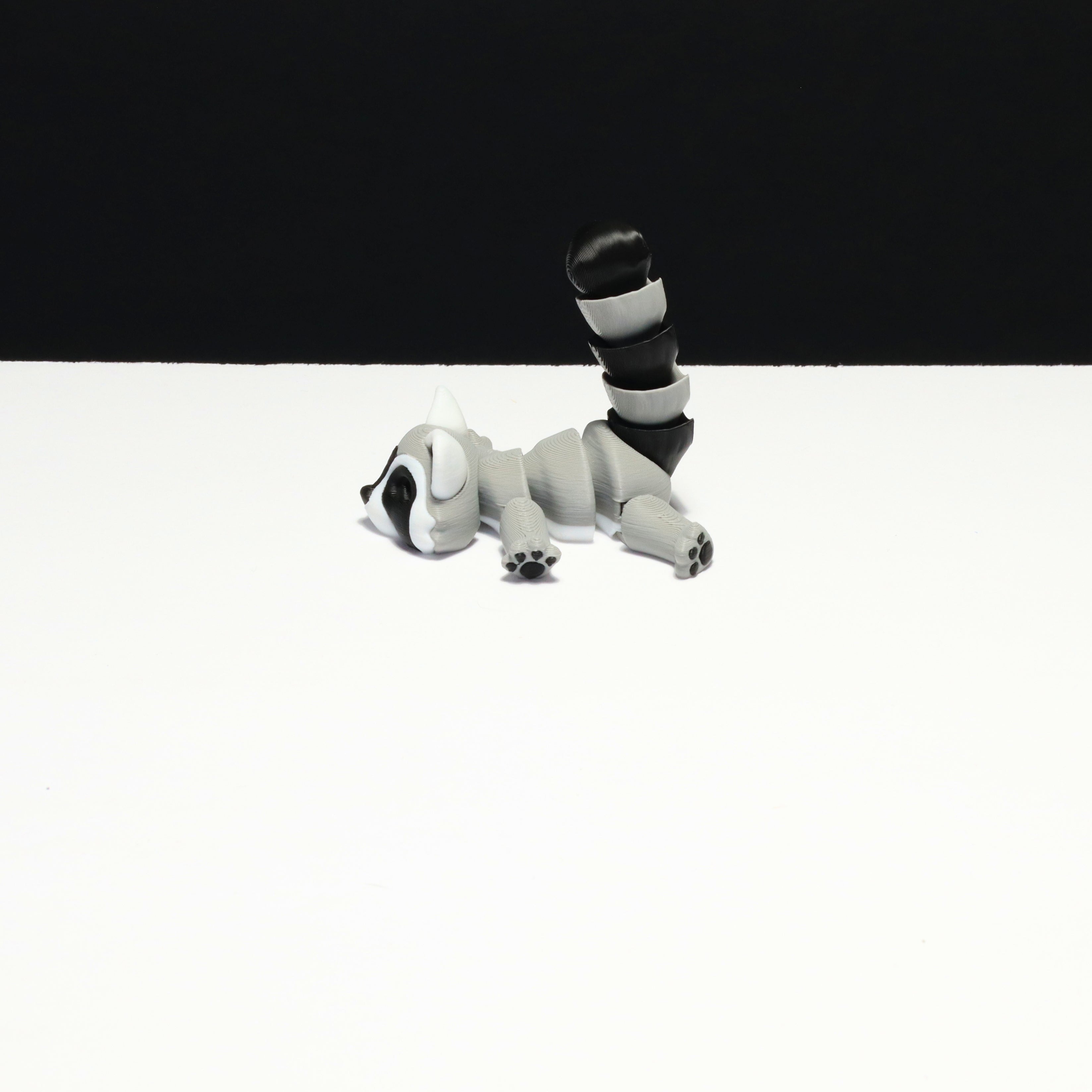 Raccoon