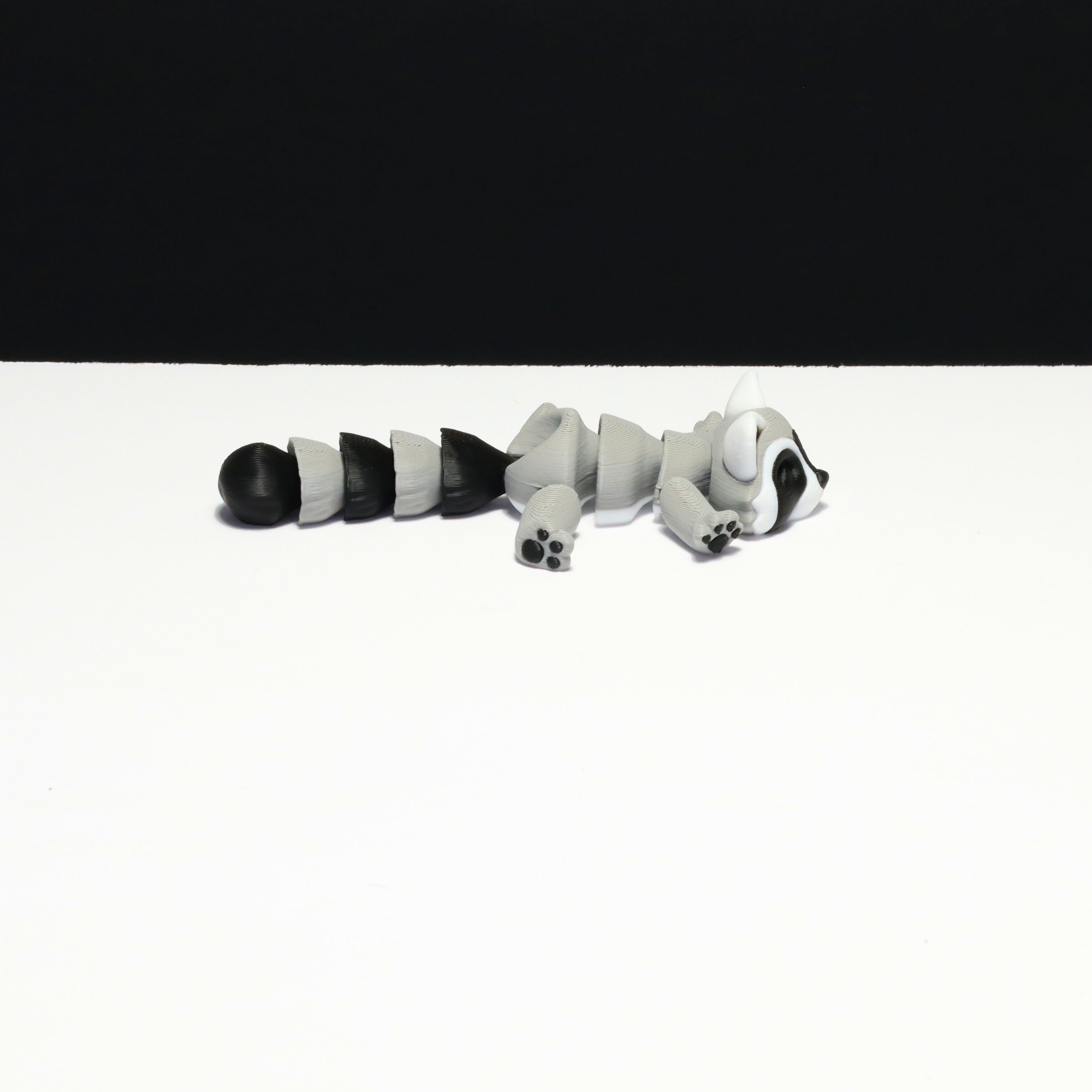 Raccoon