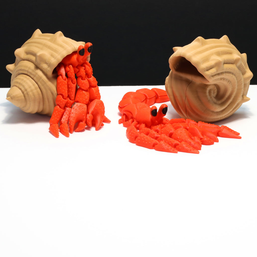 Hermit crab