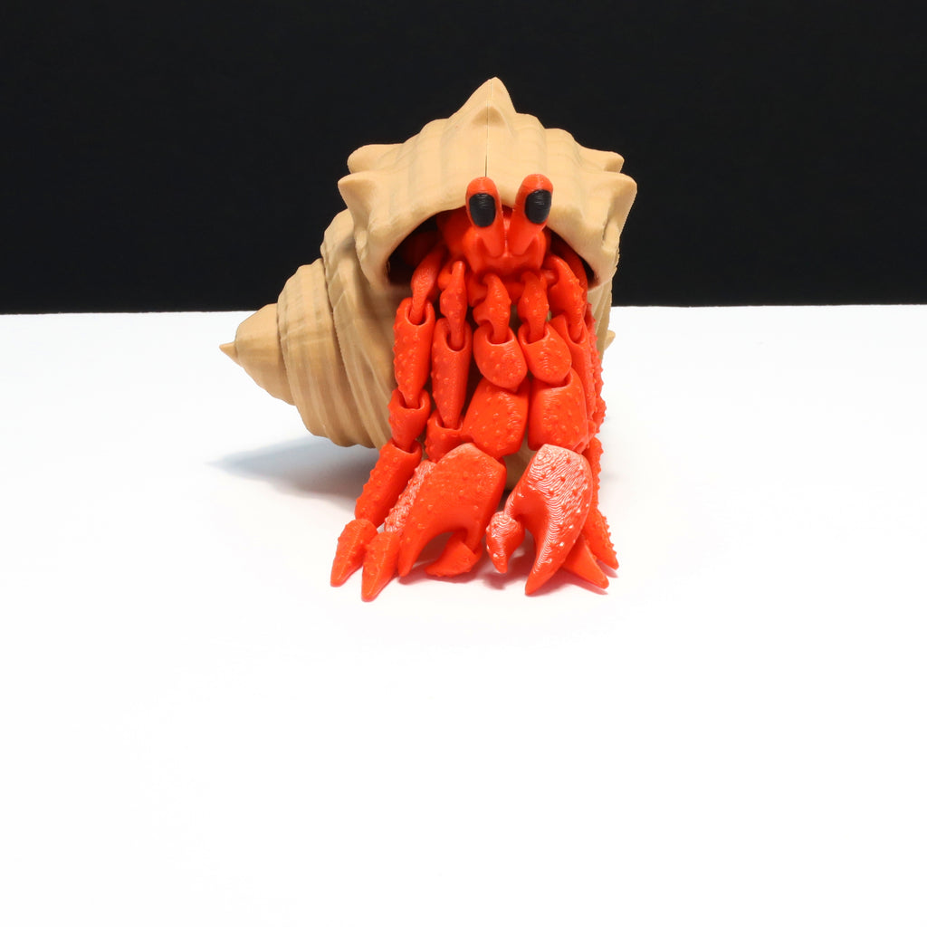 Hermit crab