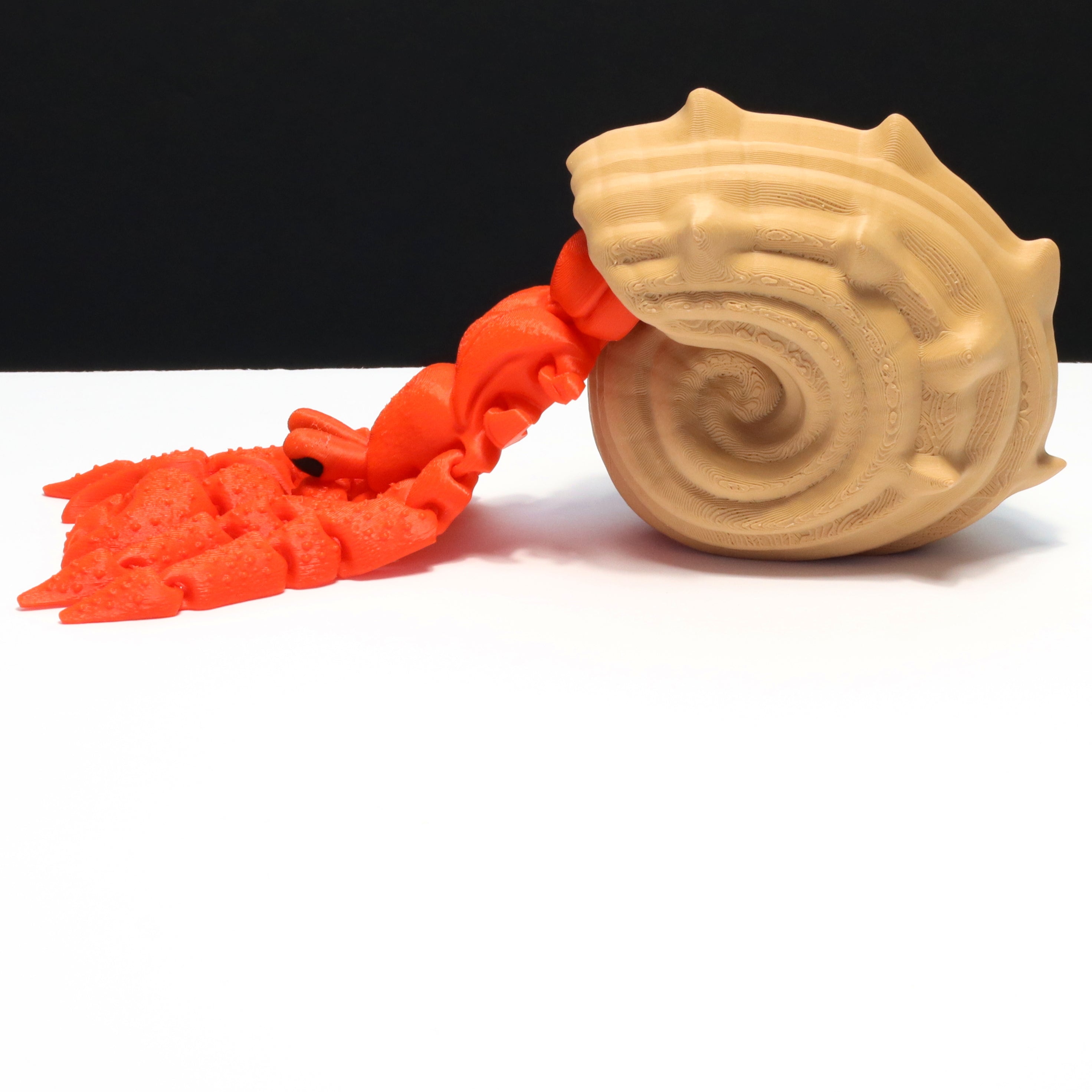 Hermit crab