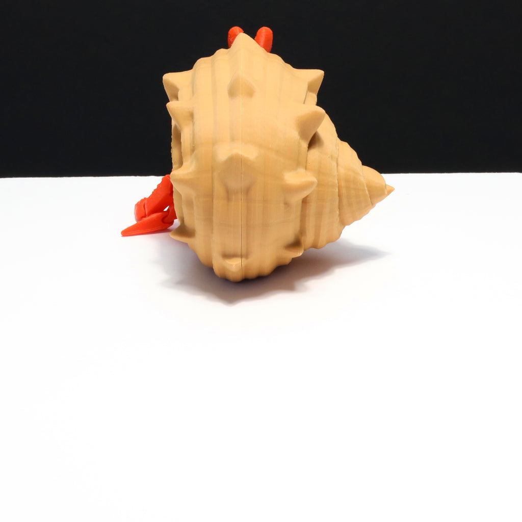 Hermit crab