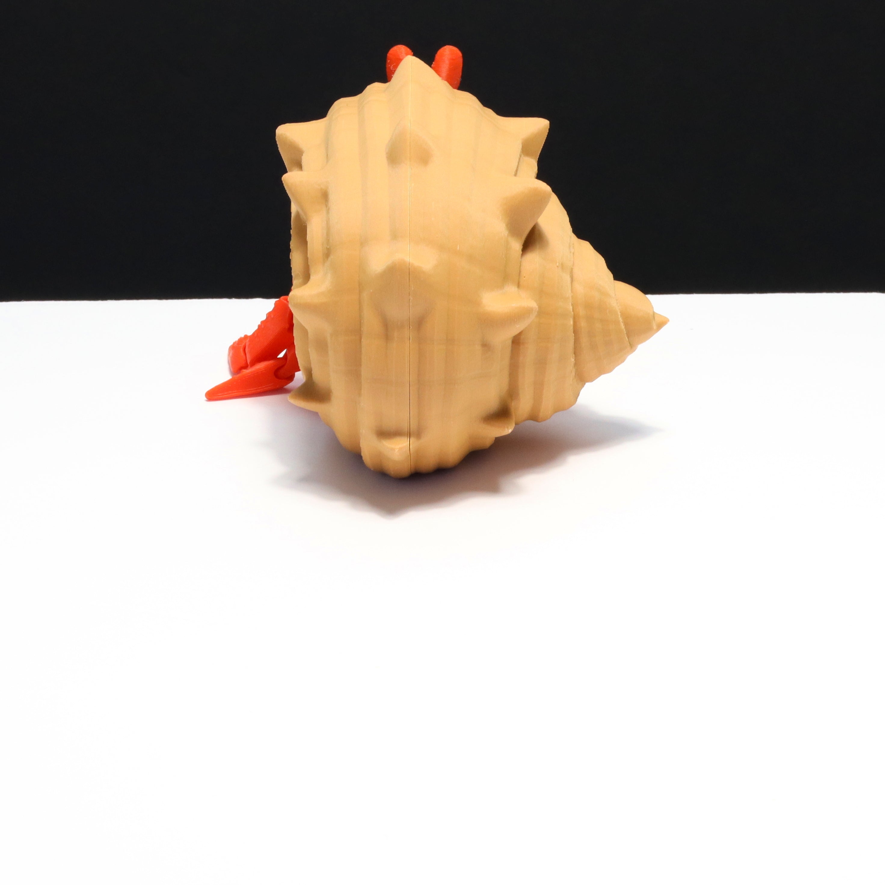 Hermit crab
