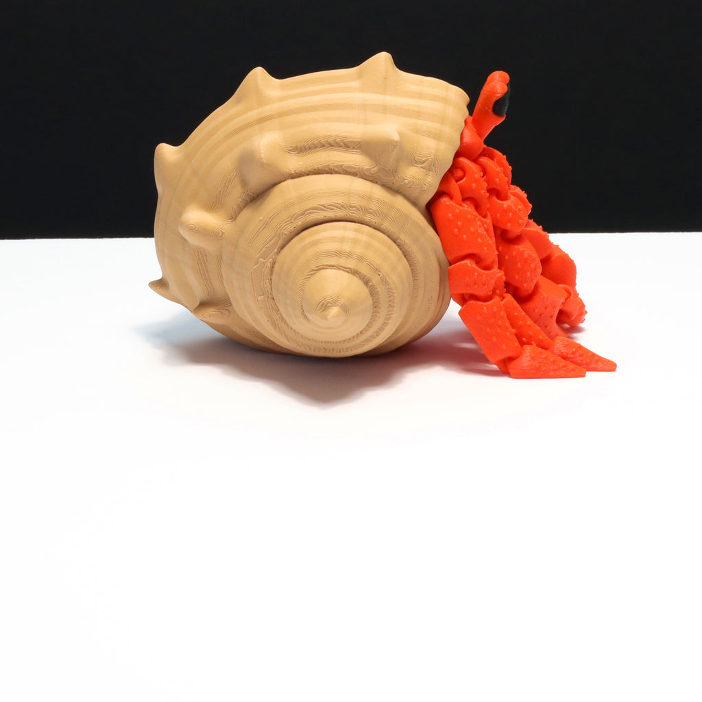 Hermit crab