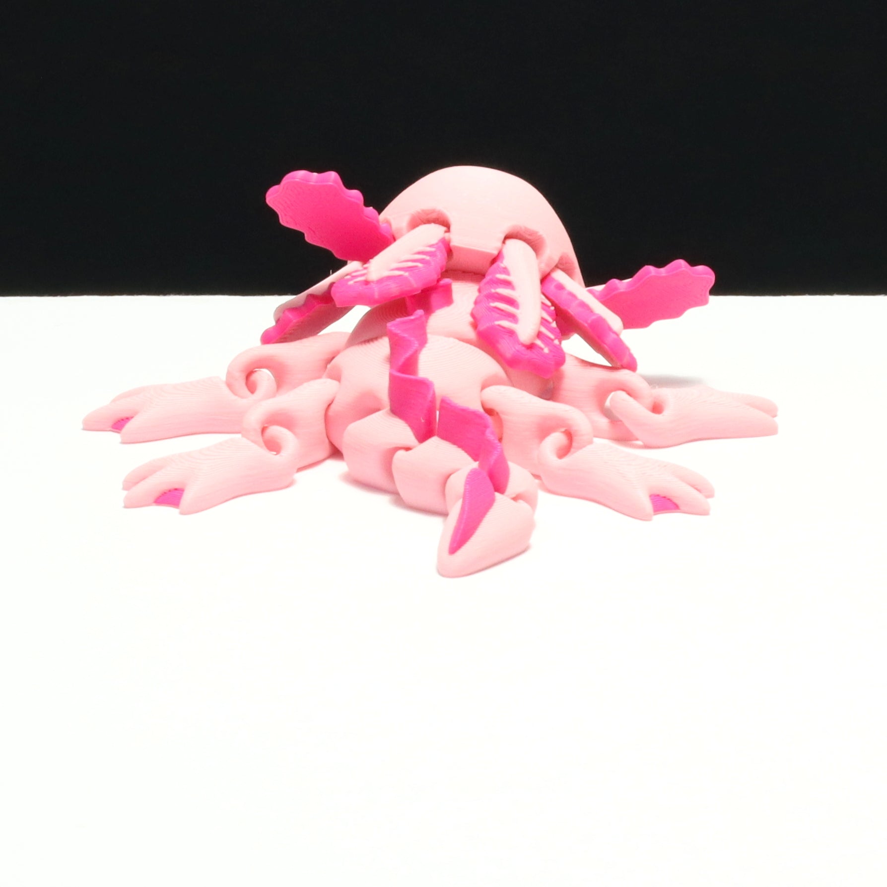 Axolotl