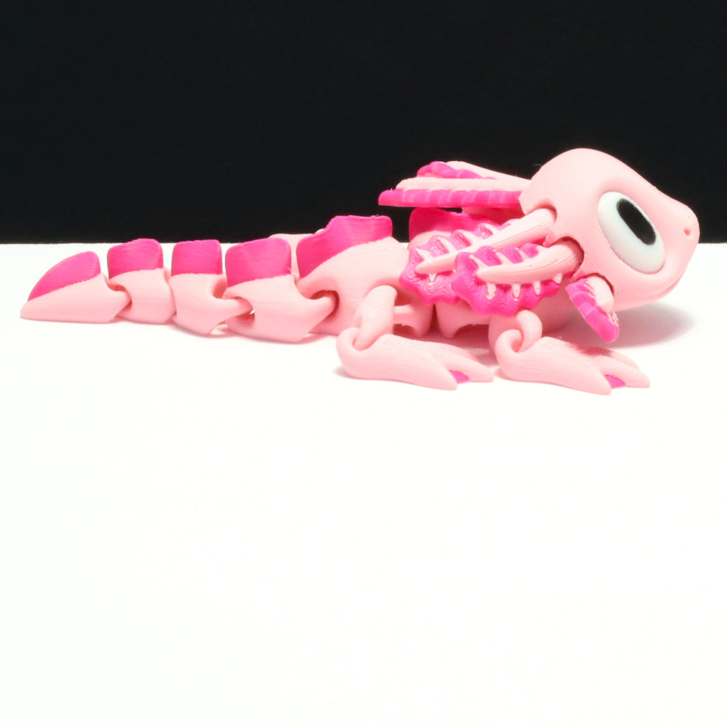 Axolotl