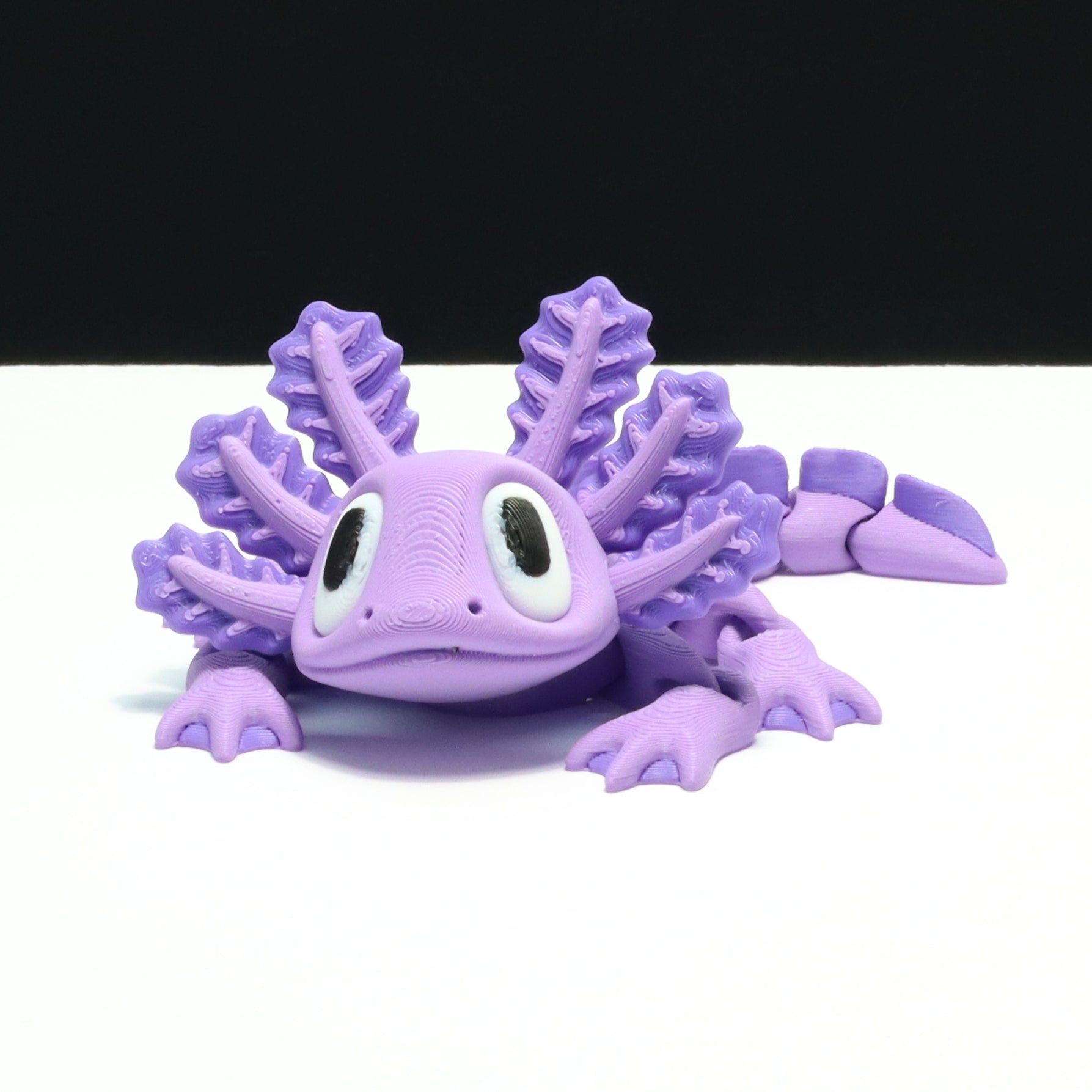 Axolotl