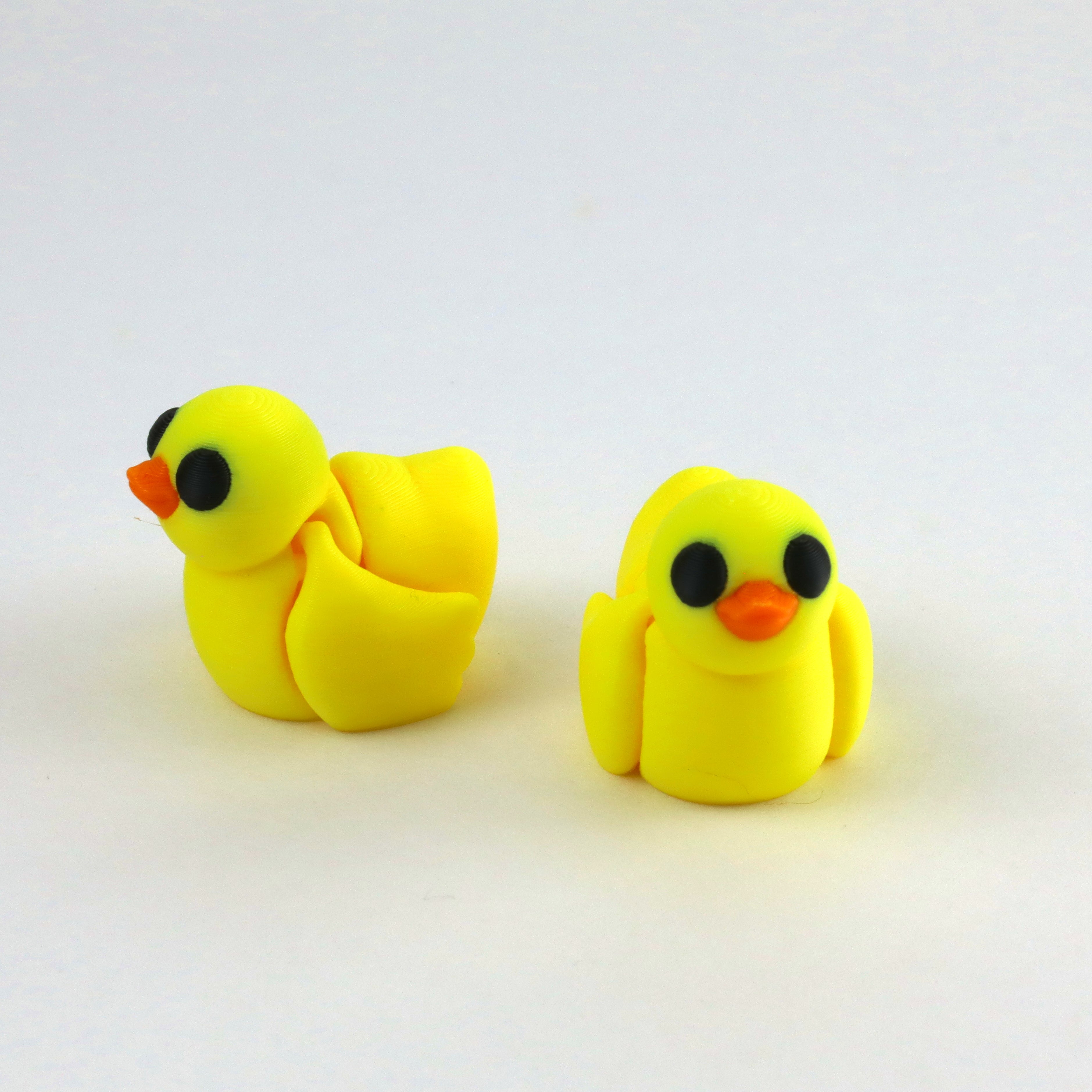 Pocket Pets