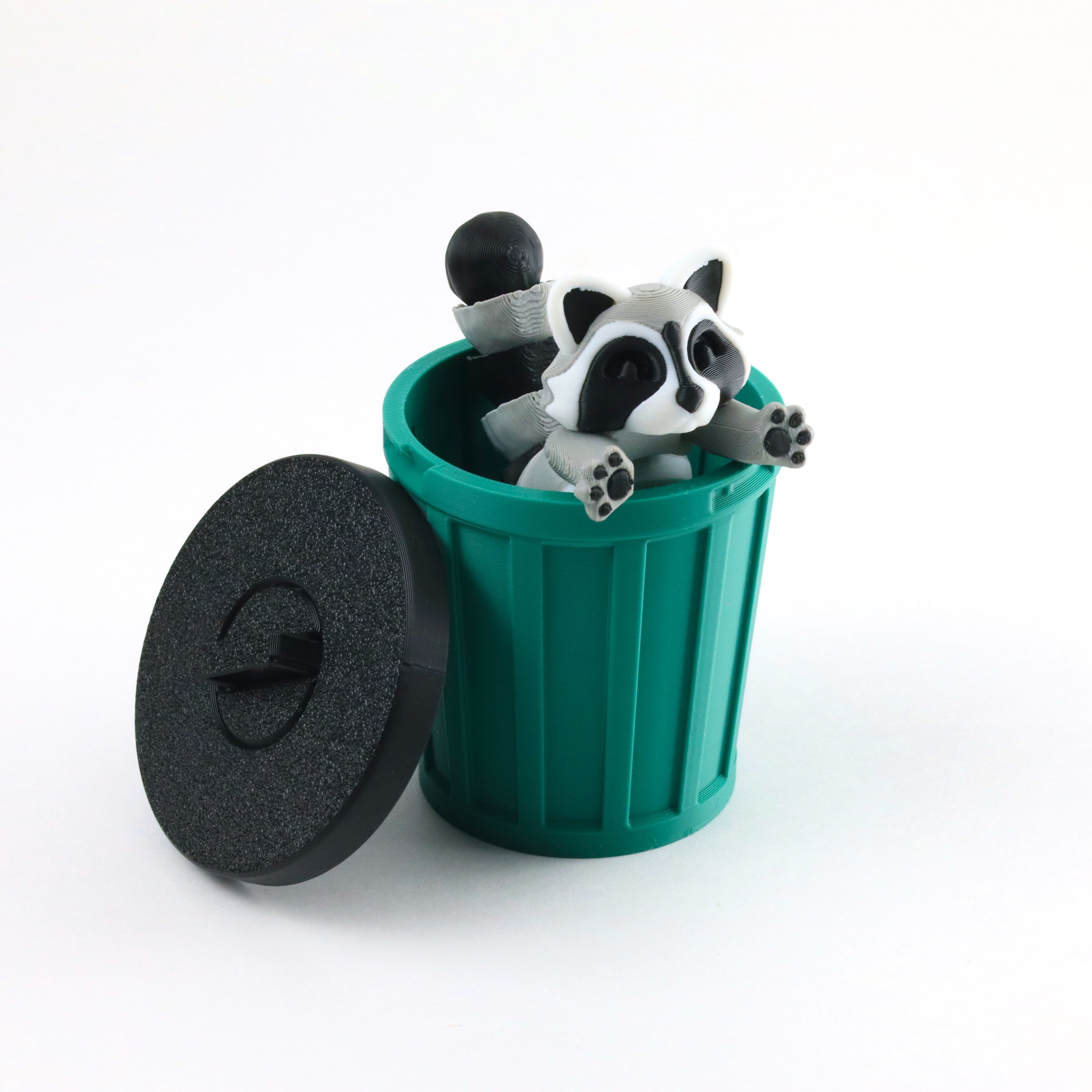 Raccoon