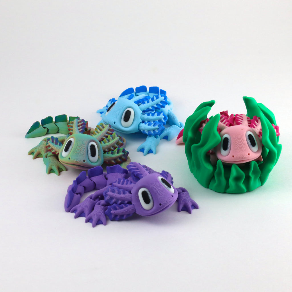Axolotl