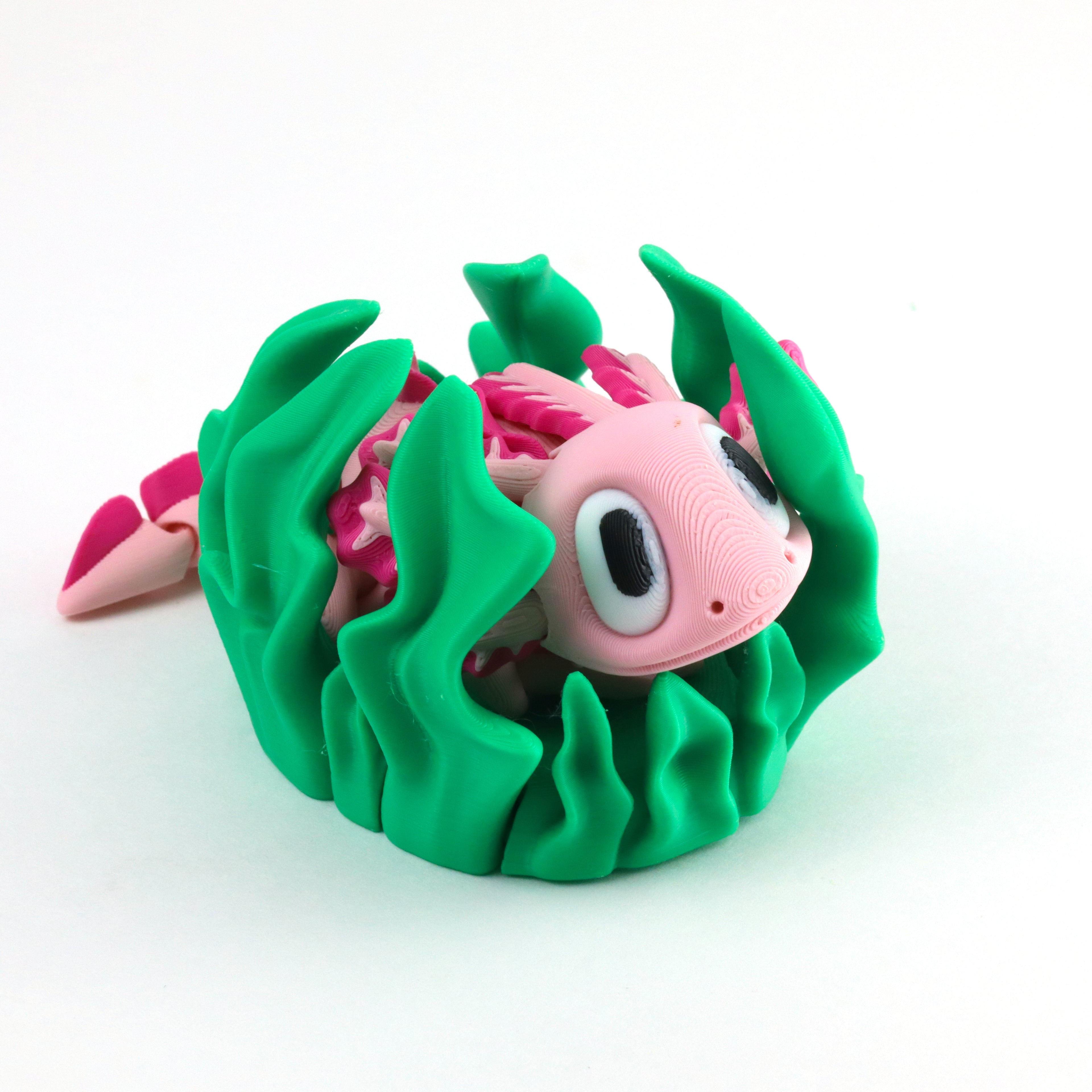 Axolotl
