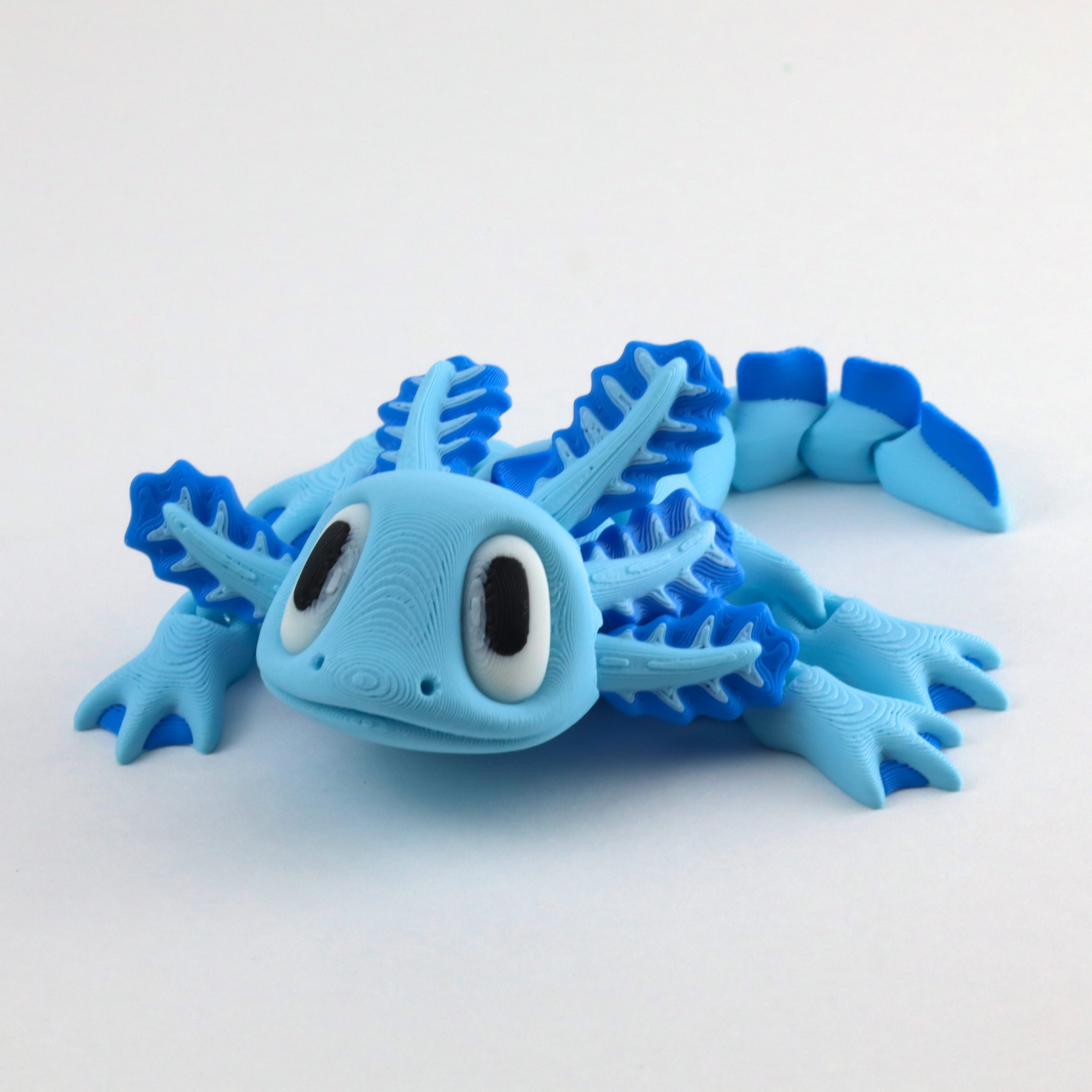 Axolotl