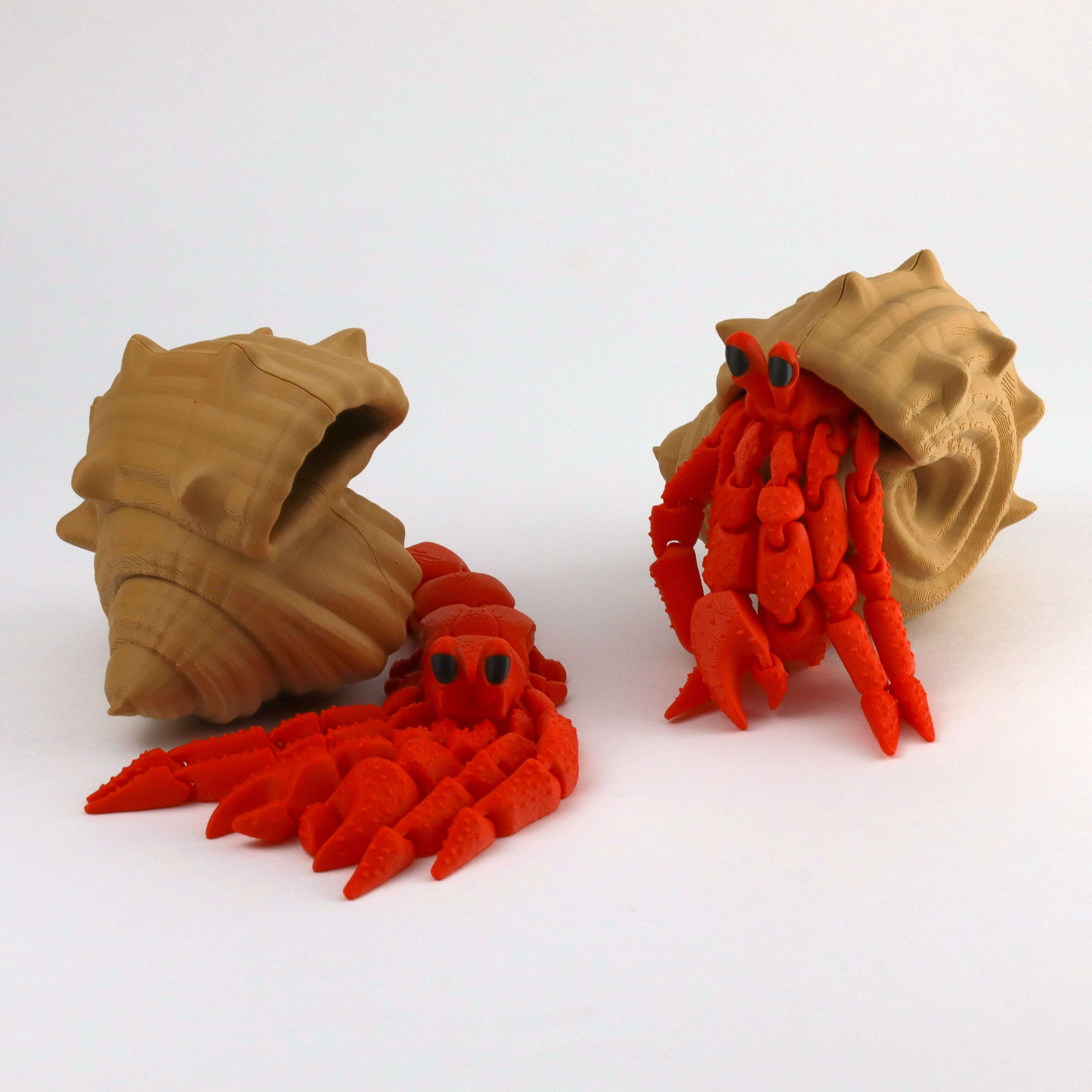Hermit crab