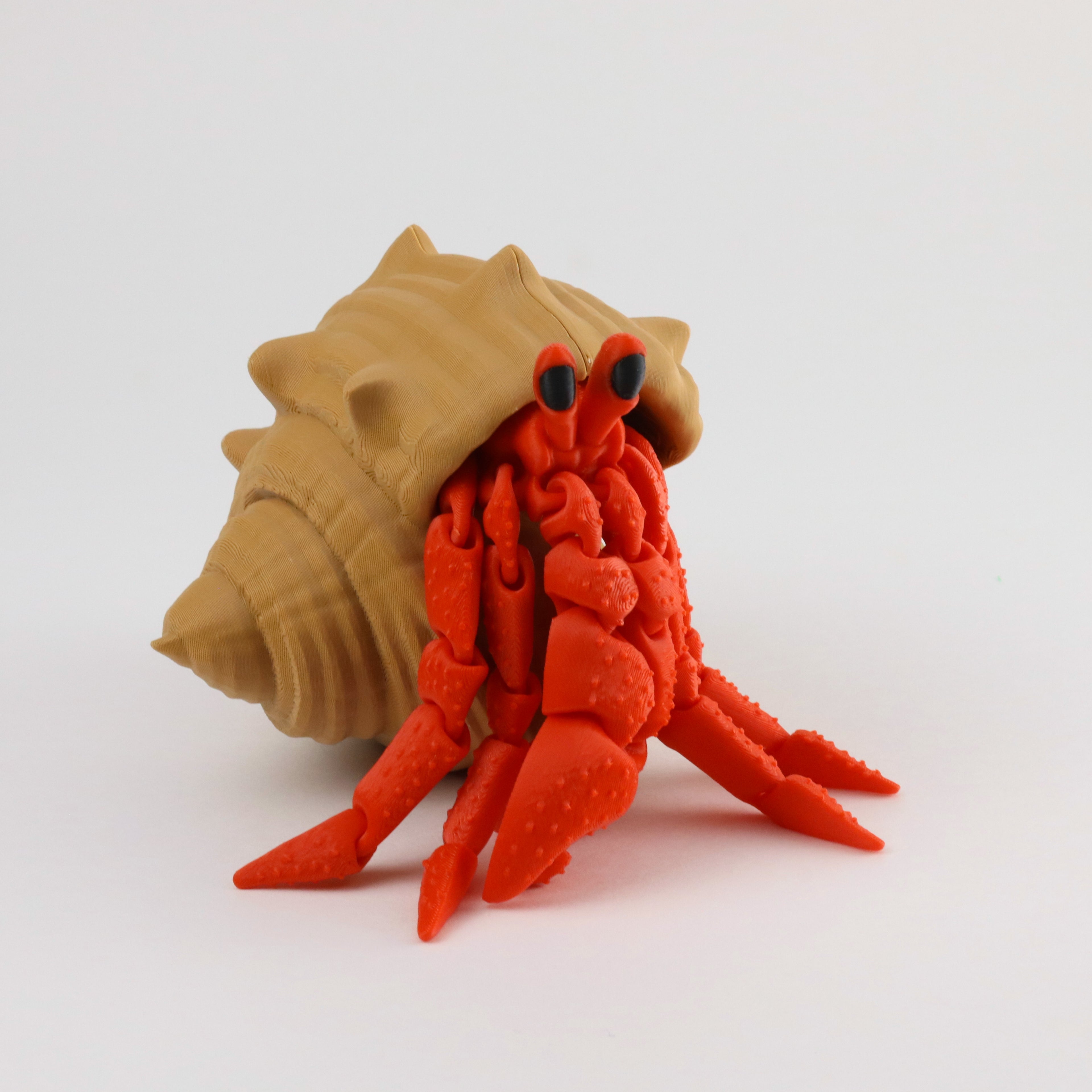 Hermit crab