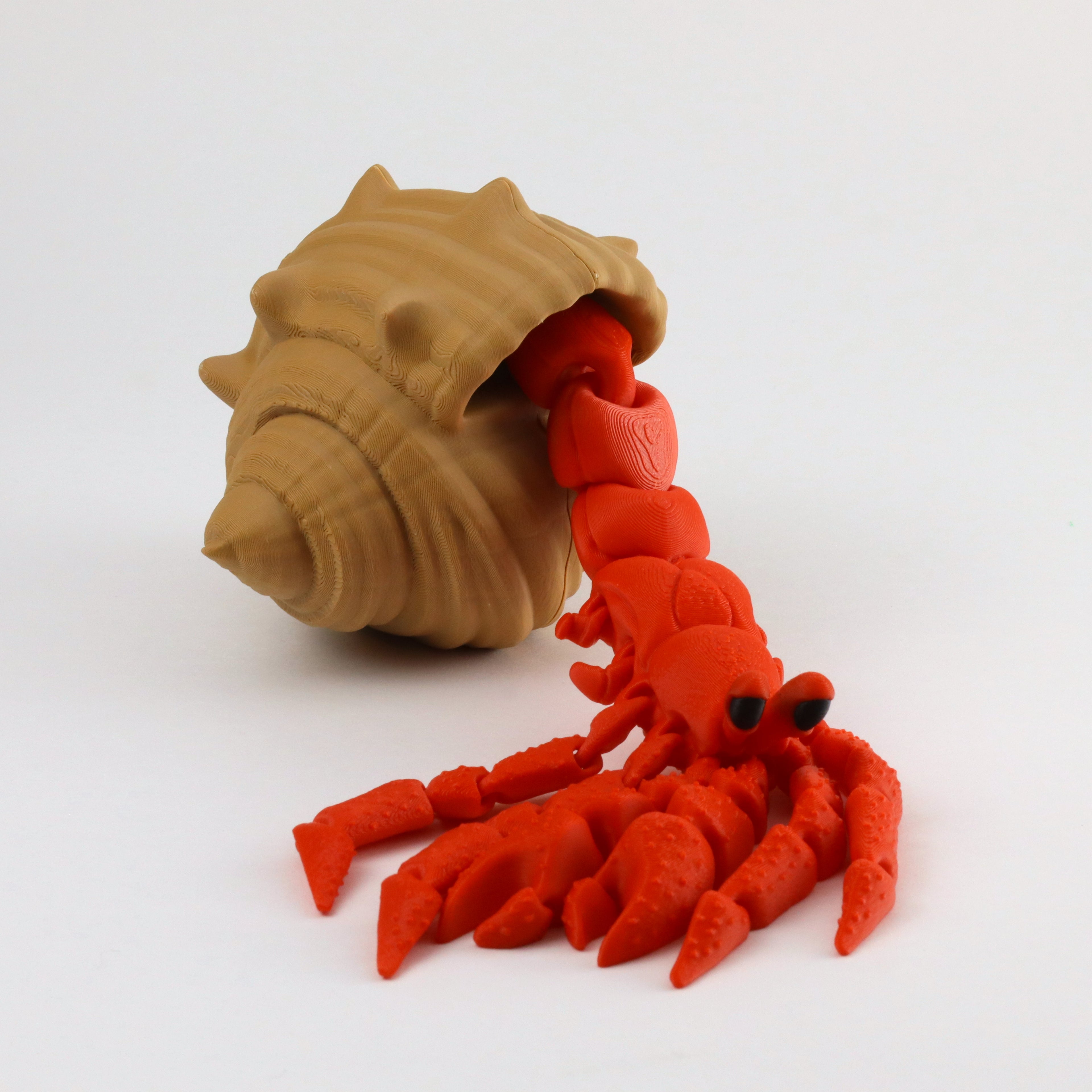 Hermit crab