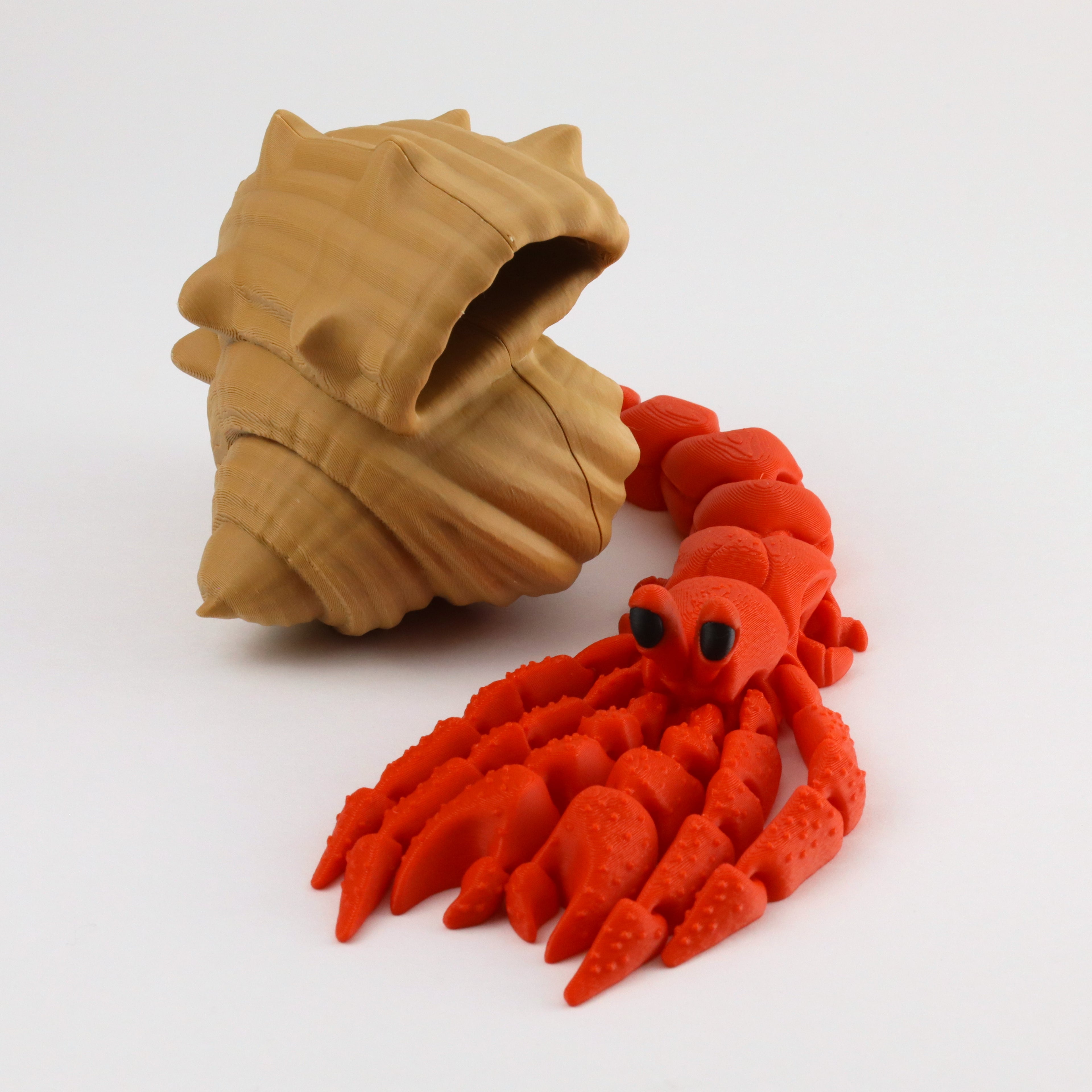 Hermit crab